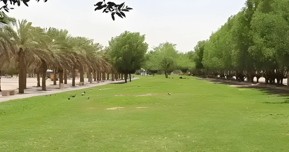 Local Flavors and Culture: Exploring Neighborhoods Near Exit 12, Riyadh