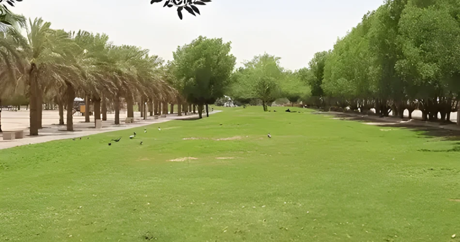 From Desert Vibes to Dining Delights: A Day Around Exit 12 in Riyadh