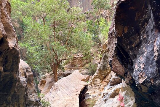 Tour image 6