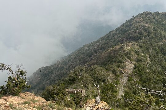 Tour image 4