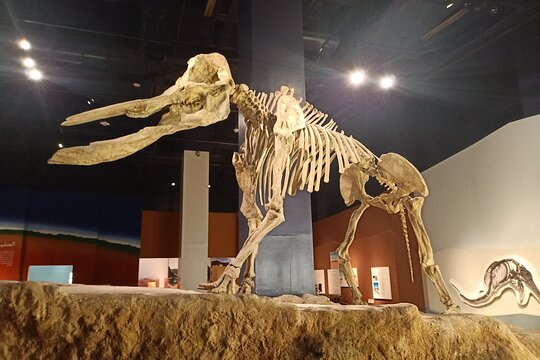Tour image 4
